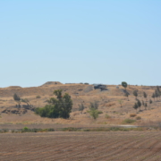 Tell Iztabba, view from north.